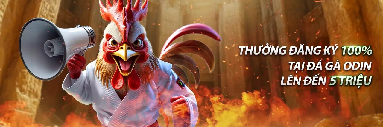 Đăng ký Win55 và tải ứng dụng